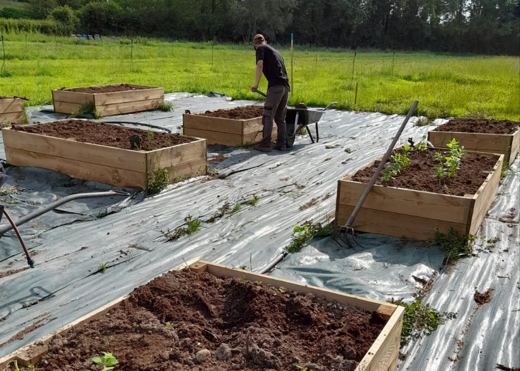 The team works on the creation of the Botanical Garden